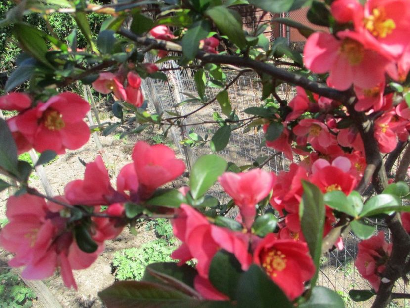  - La tara in aprilie 2017