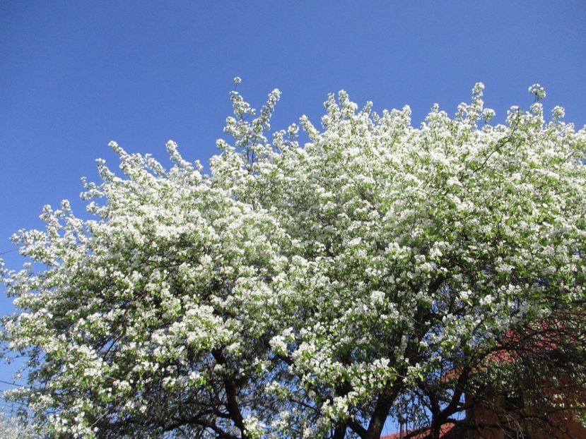  - La tara in aprilie 2017