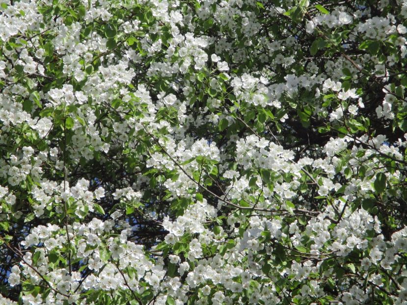  - La tara in aprilie 2017