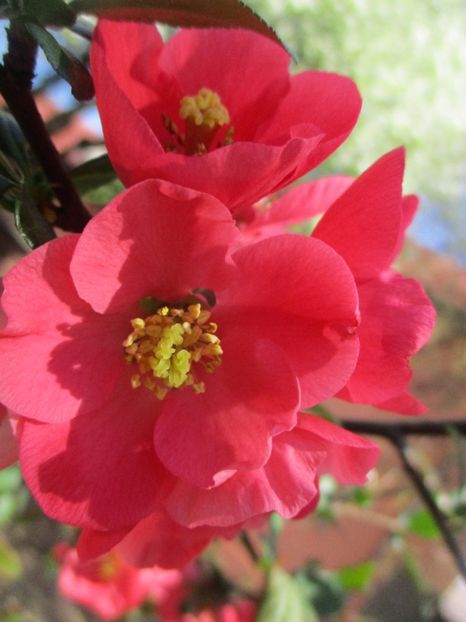  - La tara in aprilie 2017