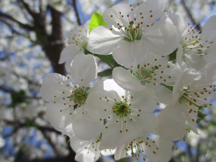  - La tara in aprilie 2017