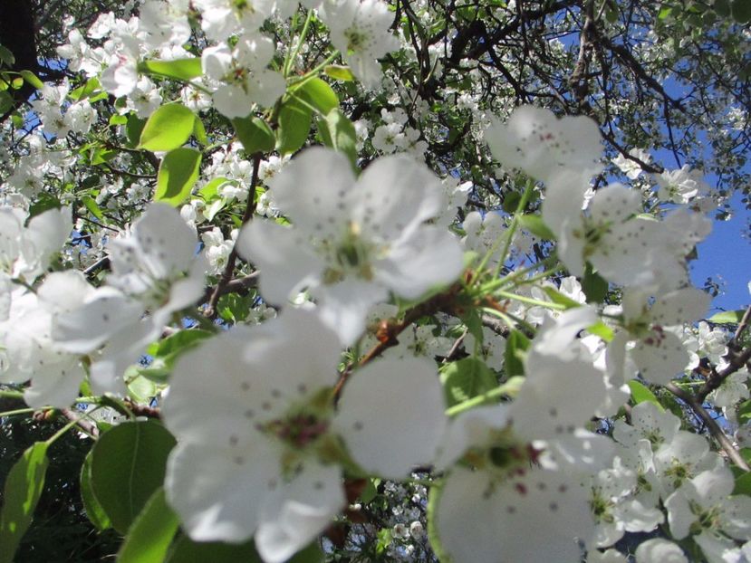  - La tara in aprilie 2017