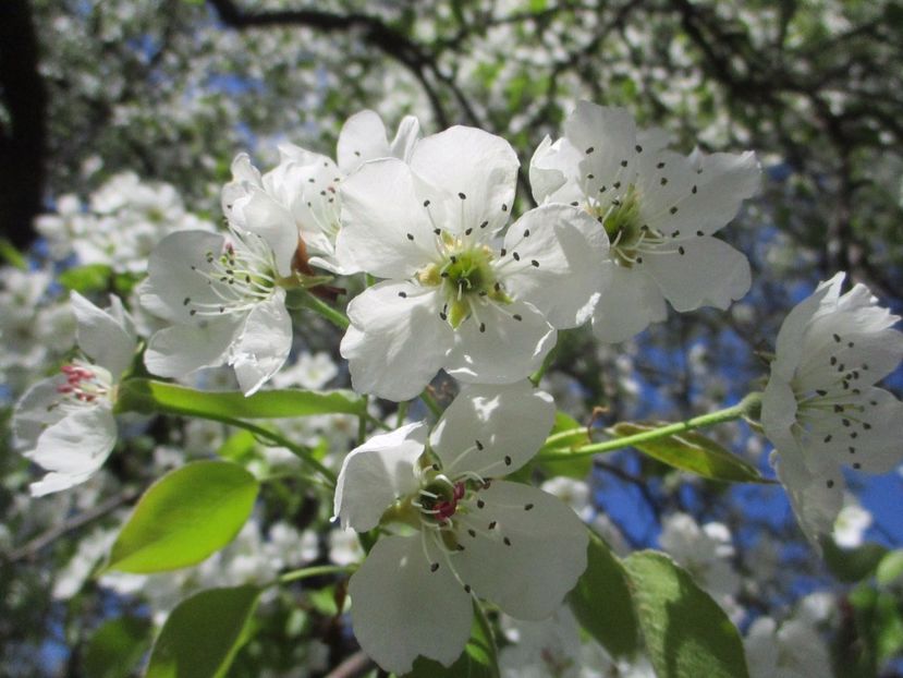  - La tara in aprilie 2017