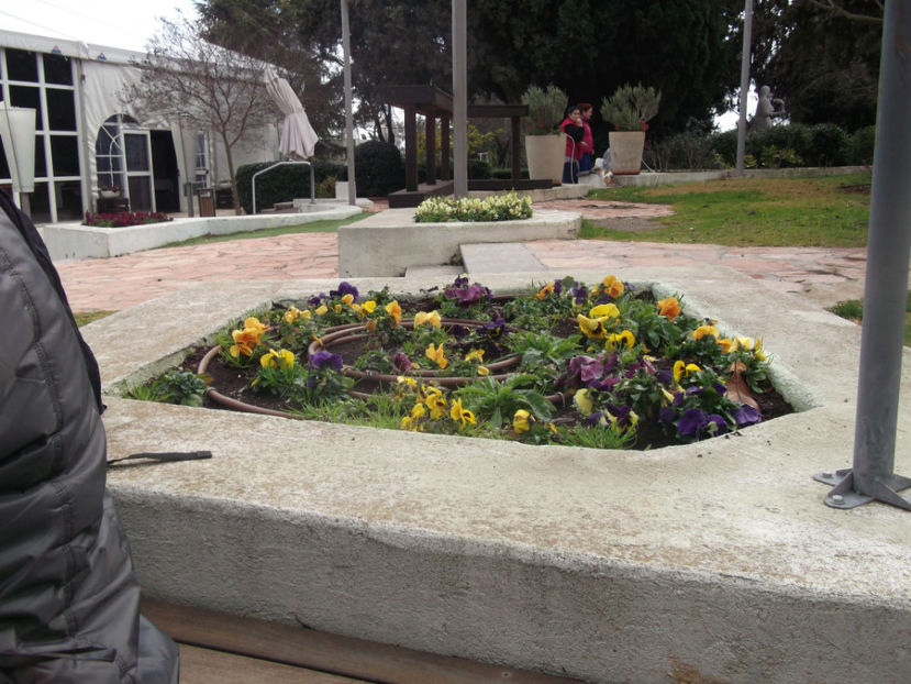 pauza de masa la un Kibut - a cincea zi de pelerinaj