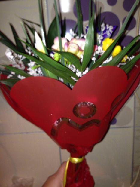 frezii - FLORILE MELE 2017