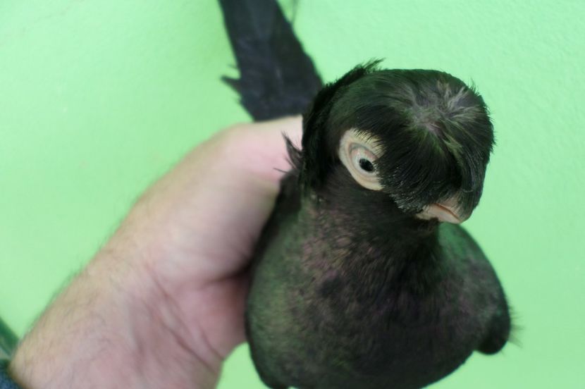 SAM_6781 - poze noi 2017