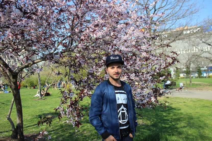  - Primavara lui 2017