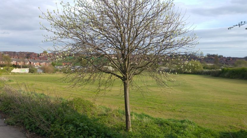 - South Kirby   South Elmsall   Doncaster