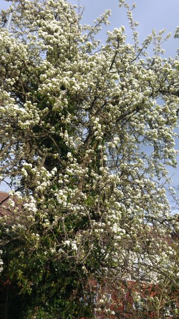 - South Kirby   South Elmsall   Doncaster