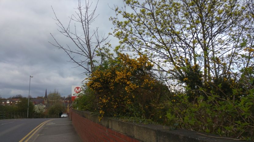  - South Kirby   South Elmsall   Doncaster