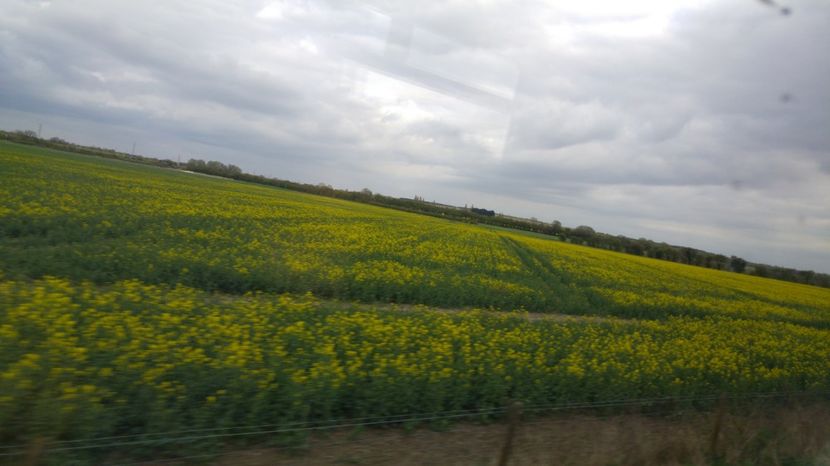  - South Kirby   South Elmsall   Doncaster