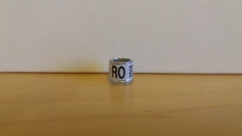  - Inele Romania - 140 piese