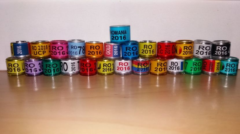  - Inele Romania - 140 piese