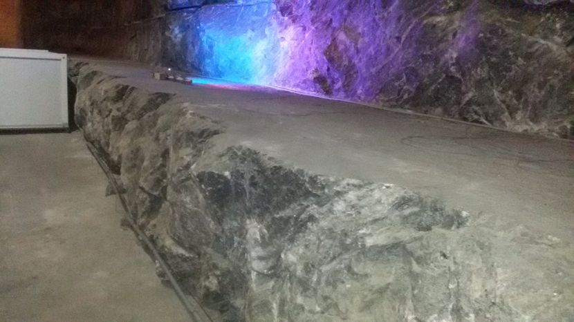 - Vizita la SALINA
