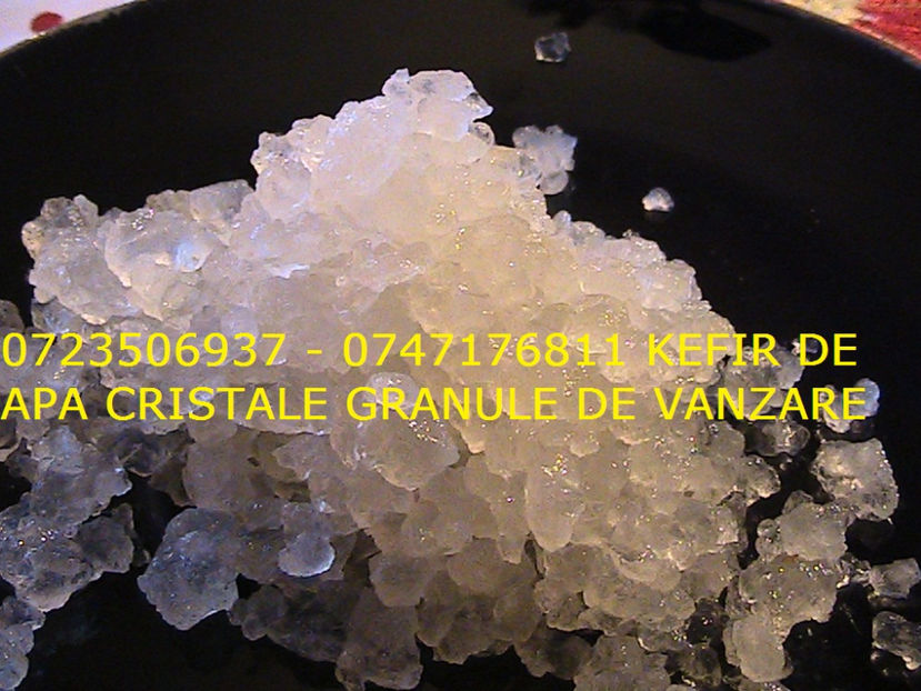 CRISTALE KEFIR DE APA 0723506937 GRANULE CIUPERCA KEFIR DE APA (1) - Cristale japoneze 0765437394 romania