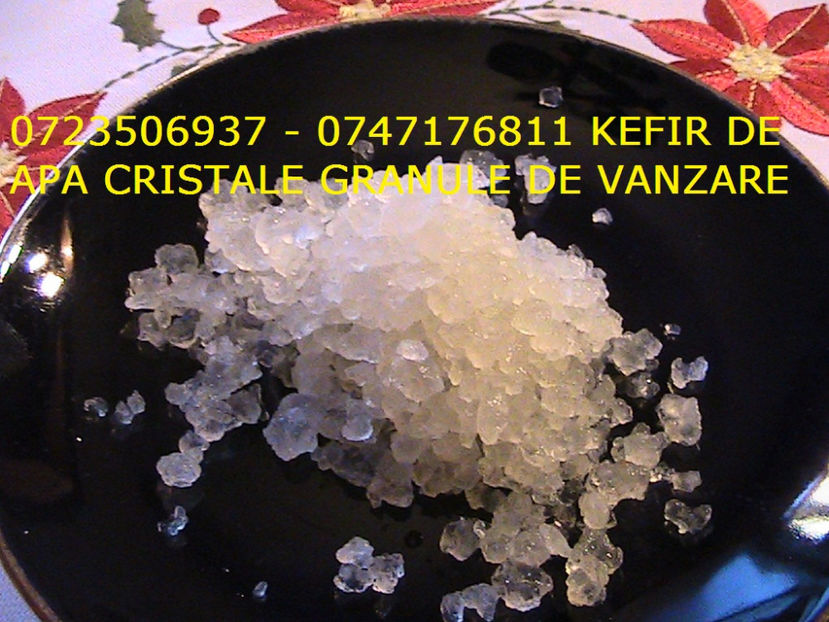 CRISTALE KEFIR DE APA 0723506937 GRANULE CIUPERCA KEFIR DE APA (2) - Cristale japoneze 0765437394 romania