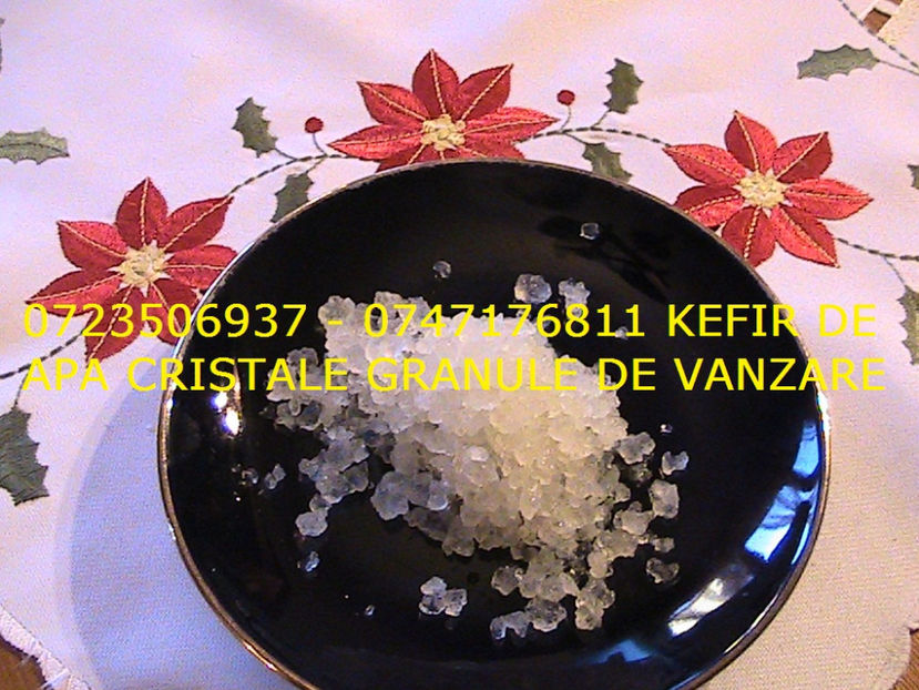 CRISTALE KEFIR DE APA 0723506937 GRANULE CIUPERCA KEFIR DE APA (3) - Cristale japoneze 0765437394 romania