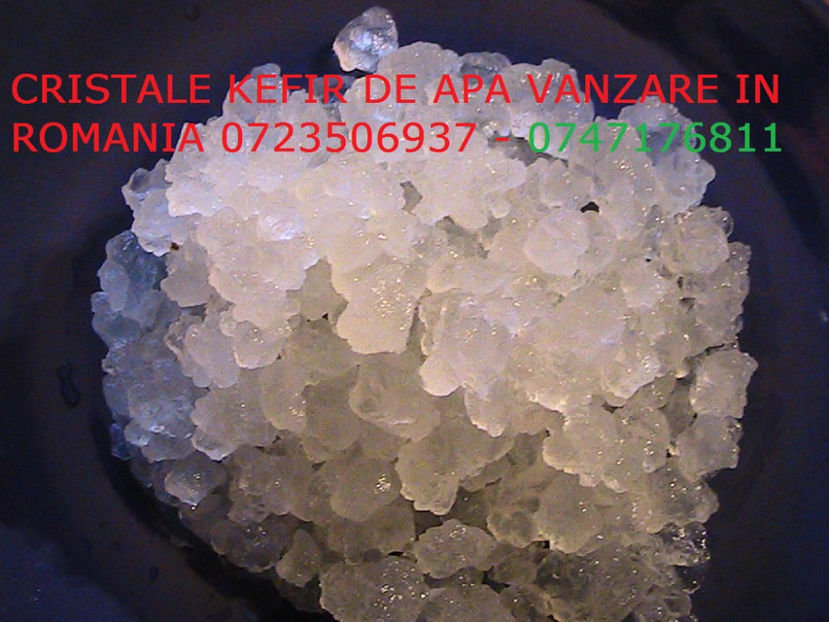 CRISTALE KEFIR DE APA 0723506937 GRANULE CIUPERCA KEFIR DE APA (8) - Cristale japoneze 0765437394 romania
