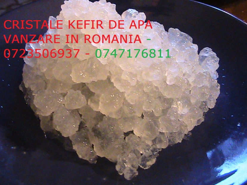 KEFIR DE APA 0723506937 CRISTALE GRANULE CIUPERCA (1) - Cristale japoneze 0765437394 romania