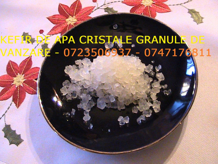 CRISTALE KEFIR DE APA 0723506937 GRANULE CIUPERCA KEFIR DE APA (5) - Cristale japoneze 0765437394 romania