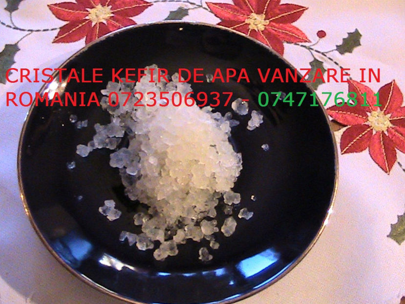 CRISTALE KEFIR DE APA 0723506937 GRANULE CIUPERCA KEFIR DE APA (6) - Cristale japoneze 0765437394 romania