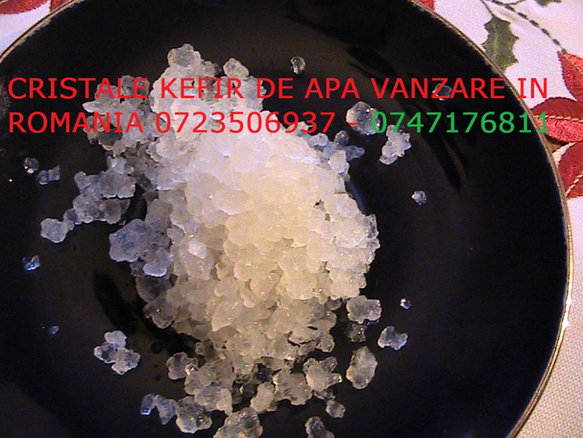 CRISTALE KEFIR DE APA 0723506937 GRANULE CIUPERCA KEFIR DE APA (7) - Cristale japoneze 0765437394 romania