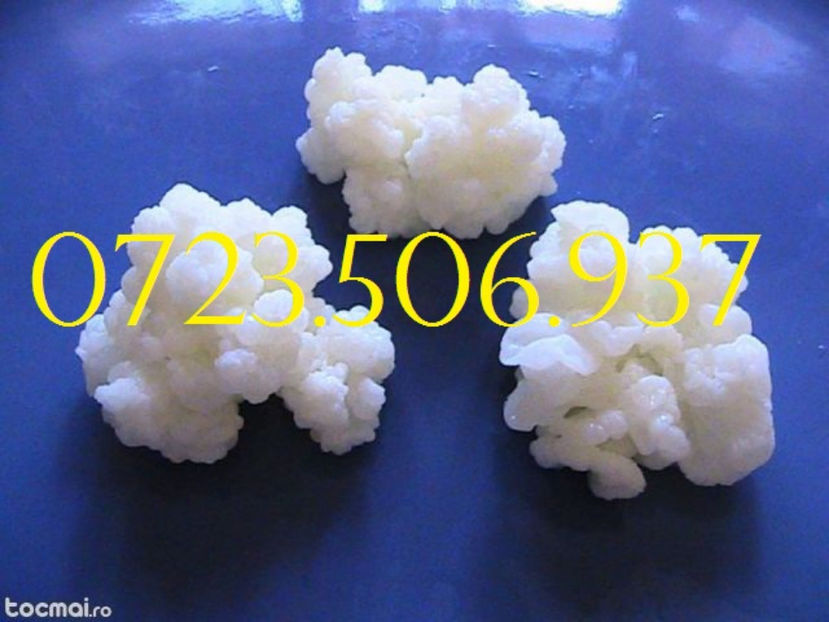 KEFIR BIO 0765437394  CIUPERCA TIBETANA KEFIR (1) - Ciuperca Tibetana 0765437394 vanzare in Romania