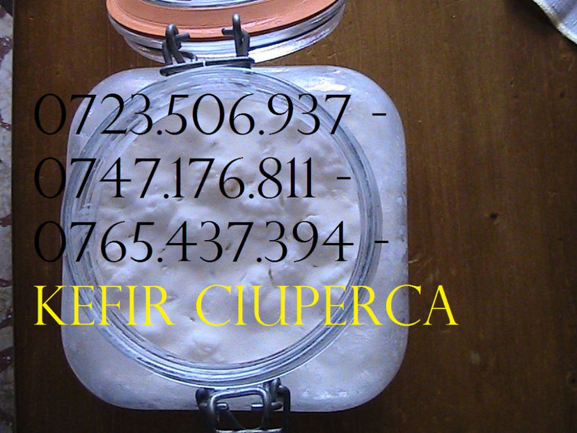 KEFIR 0723506937 - 0747176811 CIUPERCA TIBETANA (10) - Ciuperca Tibetana 0765437394 vanzare in Romania