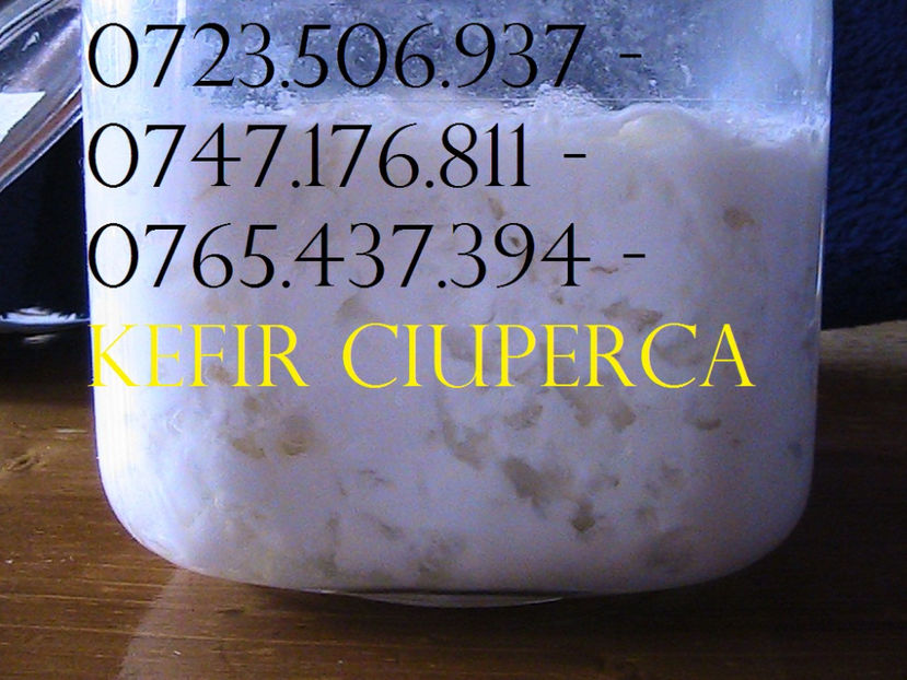 KEFIR 0723506937 - 0747176811 CIUPERCA TIBETANA (13) - Ciuperca Tibetana 0765437394 vanzare in Romania