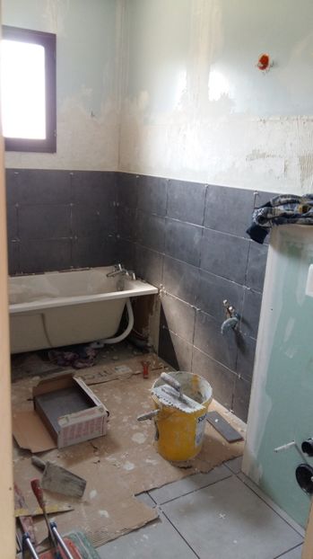  - Photo lucrarile mele in Lyon