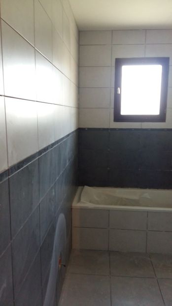  - Photo lucrarile mele in Lyon