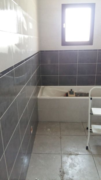  - Photo lucrarile mele in Lyon