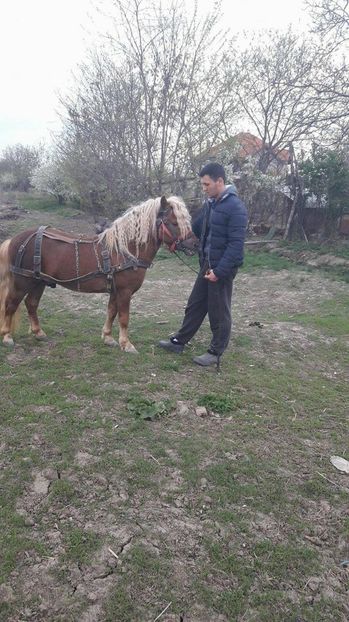  - ponei