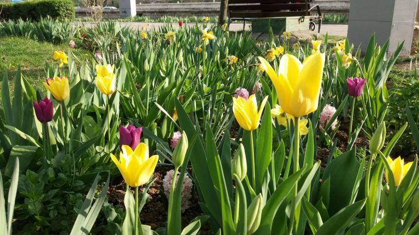 RABADABA_20170406_172917_191864807 - Primavara lui 2017