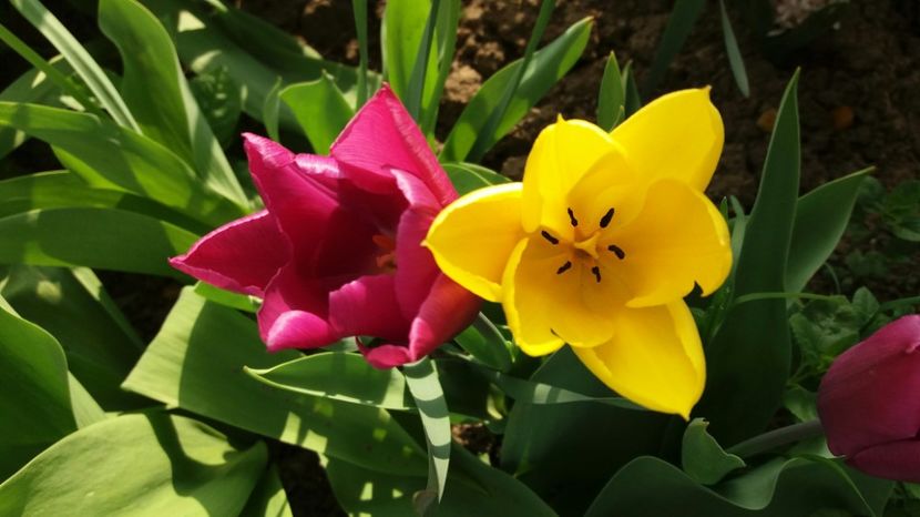 RABADABA_20170406_172741_53253541 - Primavara lui 2017