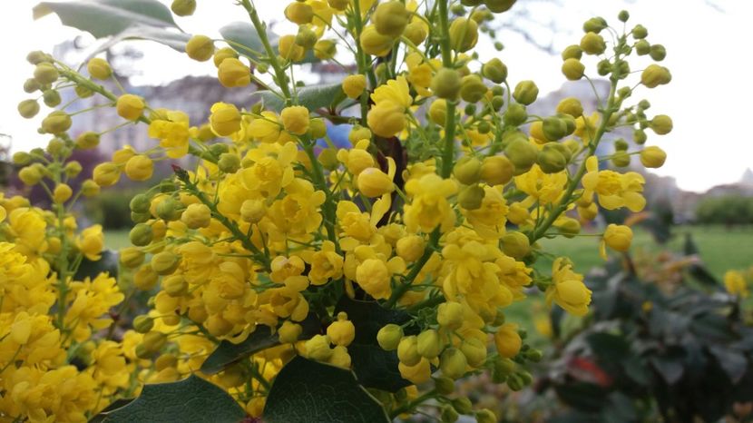 RABADABA_20170406_172215_150585534 - Primavara lui 2017