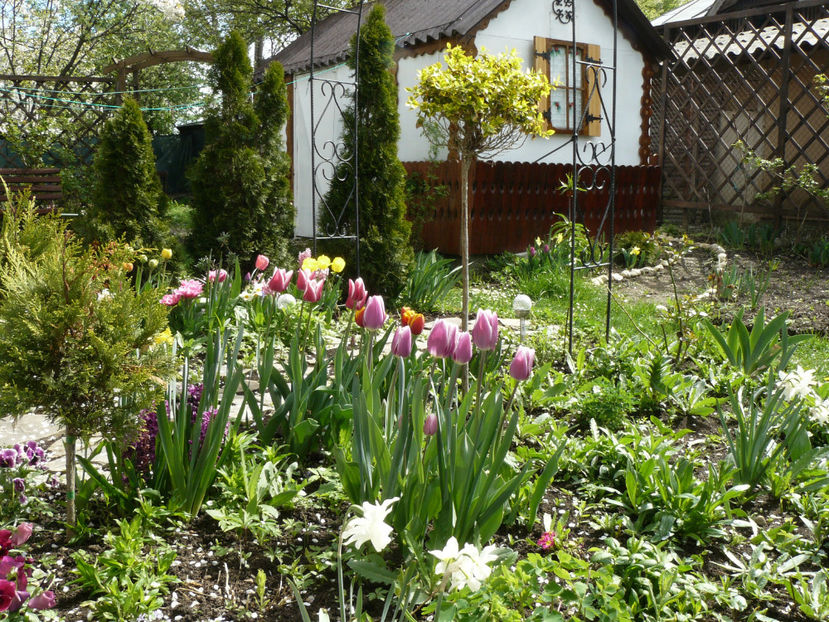 P1260230 - 2017_Aprilie_Gradina Rozelor