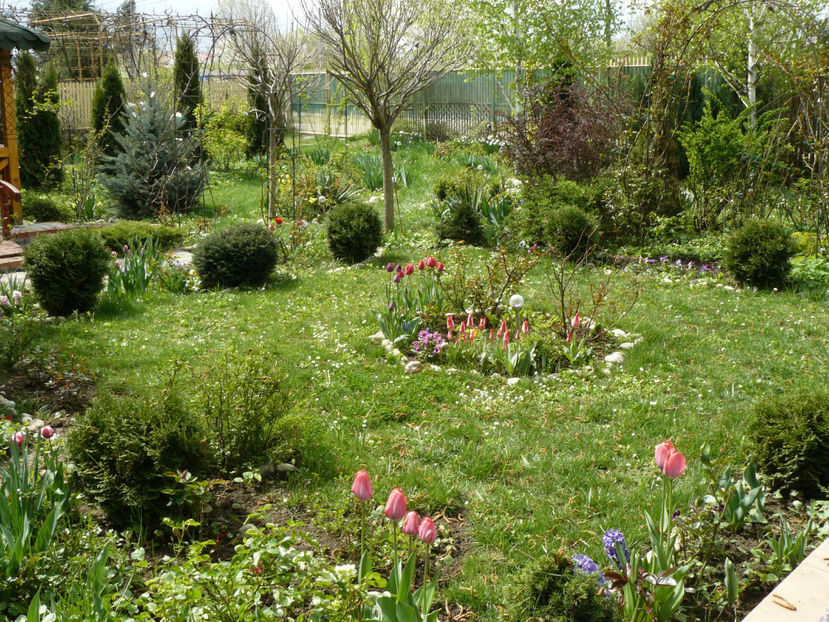 P1260263 - 2017_Aprilie_Gradina Rozelor
