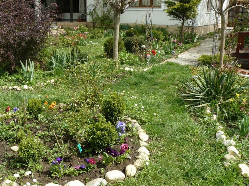 P1260282 - 2017_Aprilie_Gradina Rozelor