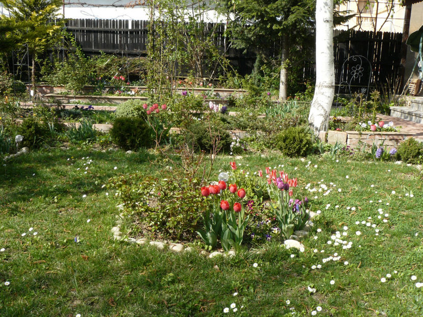 P1260026 - 2017_Aprilie_Gradina Rozelor