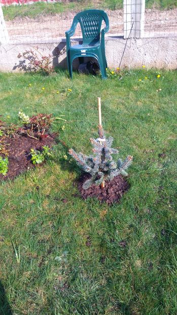 Si ne-am apucat de treaba - Diverse