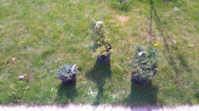 Si iar le mutam, pana cand ne place - Diverse