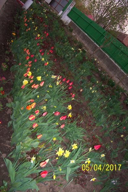  - bine ai venit primavara