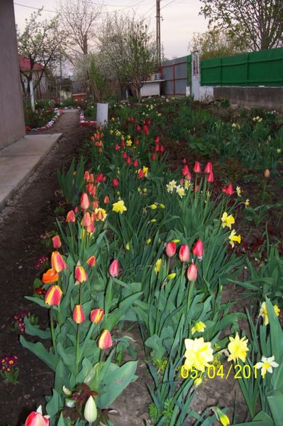  - bine ai venit primavara