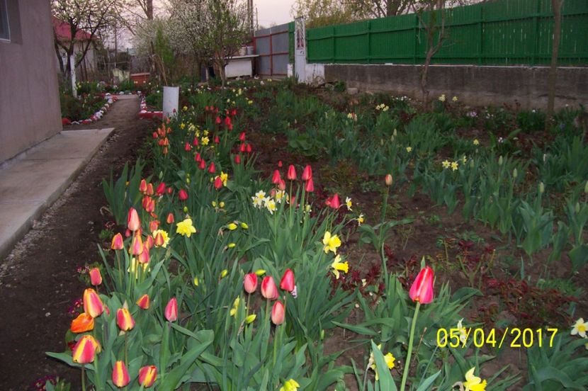  - bine ai venit primavara