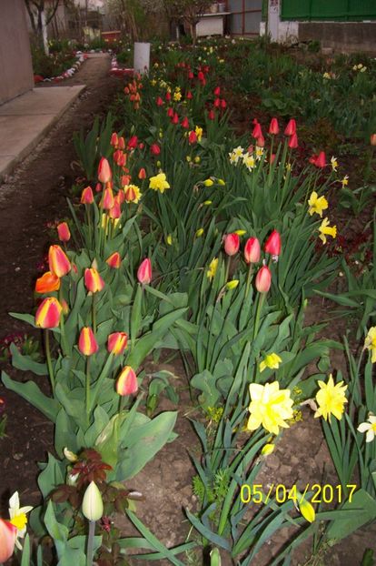  - bine ai venit primavara