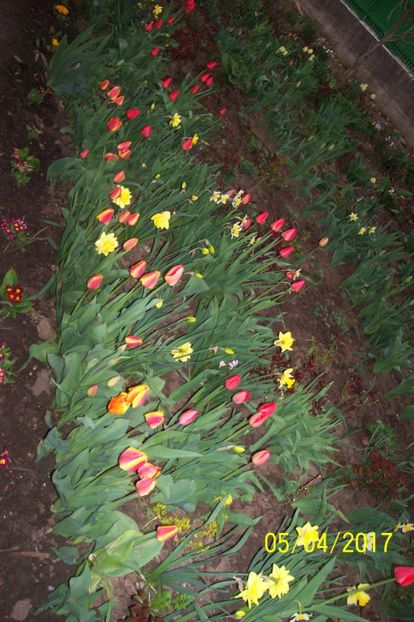  - bine ai venit primavara