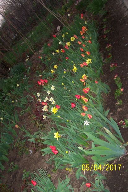  - bine ai venit primavara