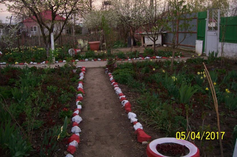  - bine ai venit primavara