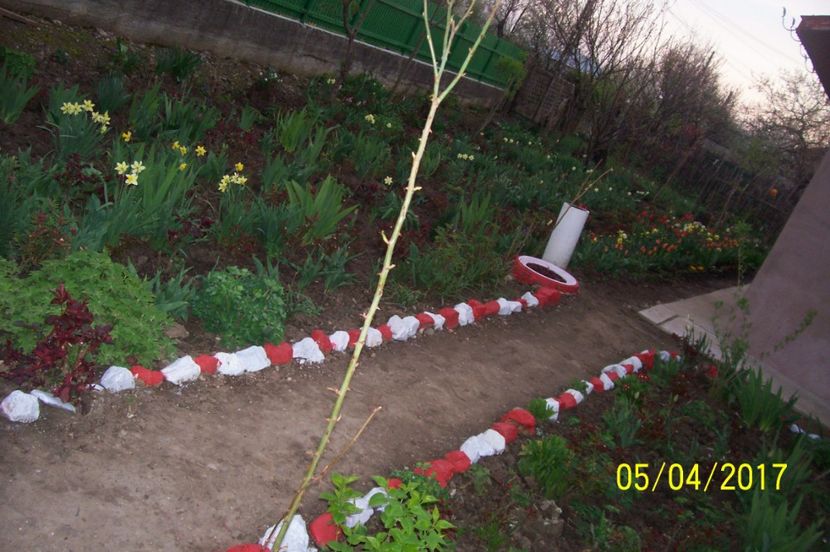  - bine ai venit primavara